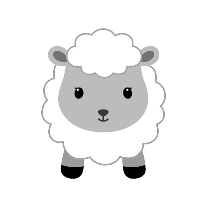 Adorable sheep in modern flat style.