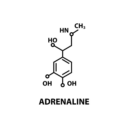 Adrenaline: Symptoms, Uses and Effects on Human Body
