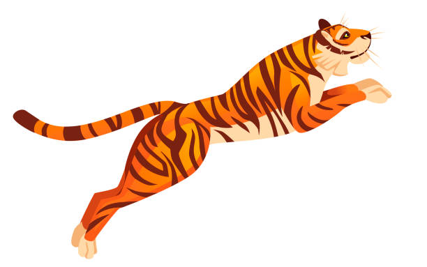 地上野生動物や動物相をテーマにした動物漫画動物デザインフラットベクトルイラストから飛び降りる大人の大きな赤虎は、白い背景に隔離 - ジャンプする点のイラスト素材／クリップアート素材／マンガ素材／アイコン素材