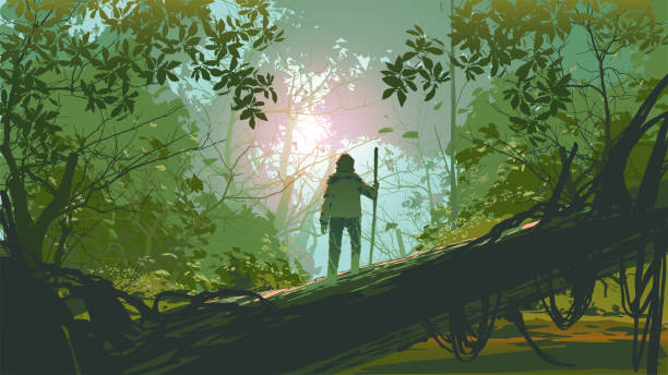 adventure in the deep forest vector art illustration