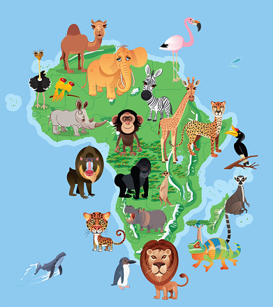 Africa and animals