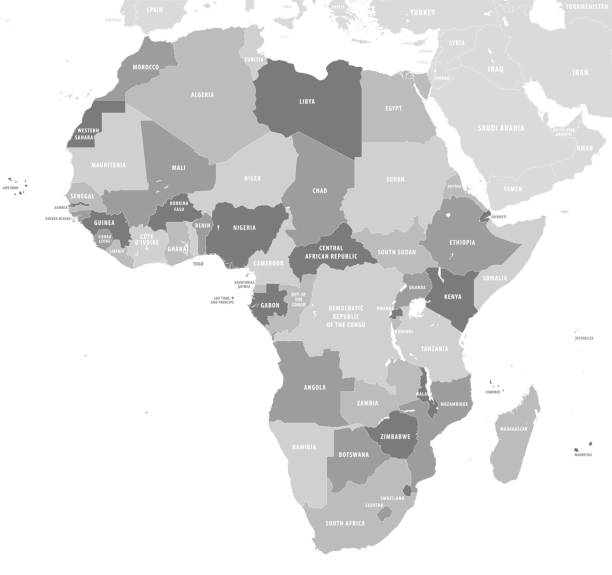 mapa afryki - nigeria stock illustrations
