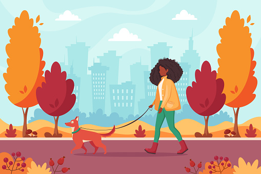 African american woman walking with dog in autumn park. Outdoor activity concept. Vector illustration.