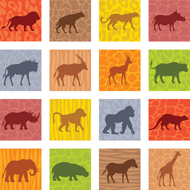 afrikanische tiere icon-set - großwild stock-grafiken, -clipart, -cartoons und -symbole