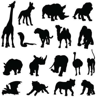 African animals silhouette collection