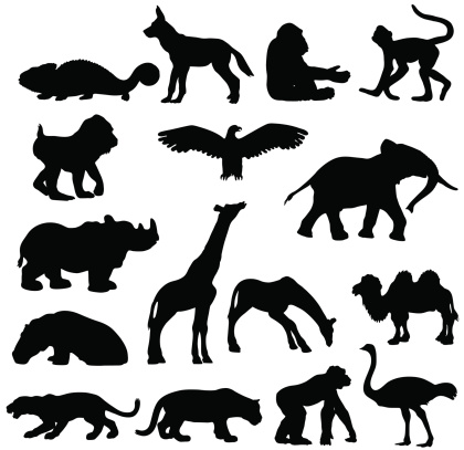 African animals silhouette collection