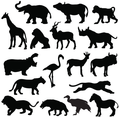 African animals silhouette profiles
