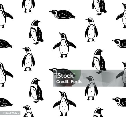 istock African penguin 1346396172