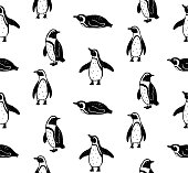 istock African penguin 1346396172