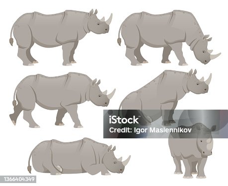 istock African rhinoceros set 1366404349