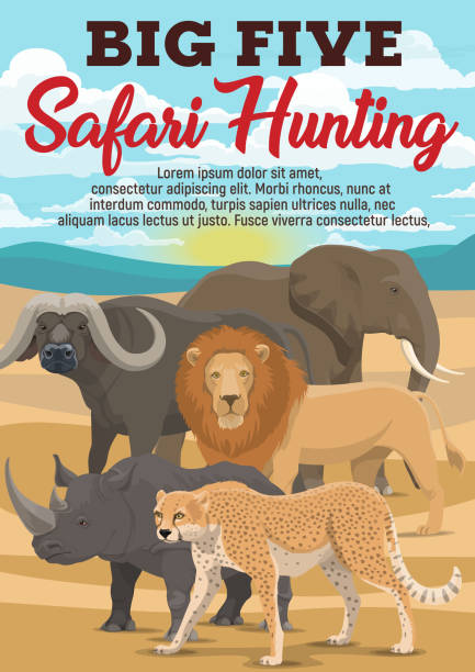 African safari hunting sport, animals African hunting sport and travel. Vector exotic wild animals in desert. Safari hunt among dangerous lion and leopard, huge elephant and rhinoceros, heavy buffalo with horns buffalo shooting stock illustrations