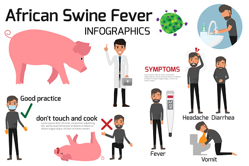African Swine Fever Virus Infographics Elements Health And ...
