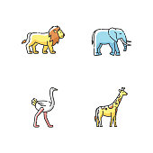 African wildlife RGB color icons set. Exotic fauna, tropical predator and herbivore animals. Lion, elephant, giraffe and ostrich. Isolated vector illustrations