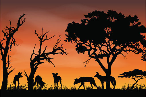 African Wildlife Silhouette