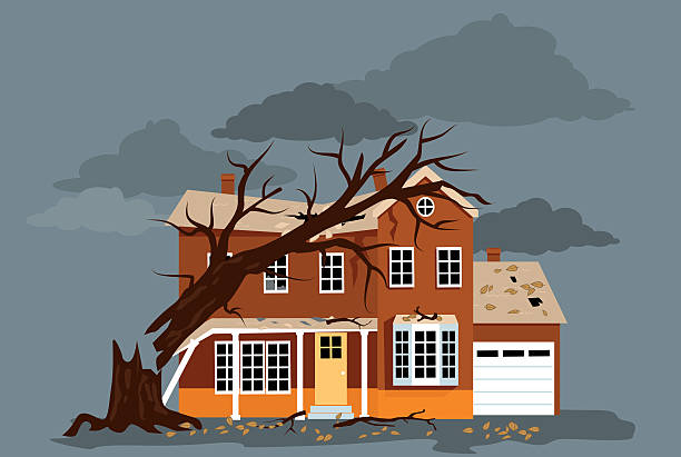 After a storm House damaged by a fallen tree, EPS 8 vector illustration, no transparencies damaged stock illustrations