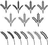 Agricultural plants ears, set of seven different styles