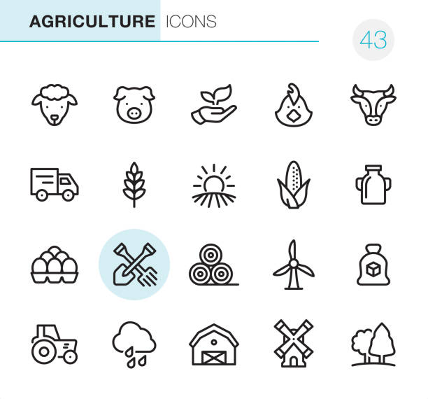 Agriculture and Farm - Pixel Perfect icons 20 Outline Style - Black line - Pixel Perfect icons / Set #43
Icons are designed in 48x48pх square, outline stroke 2px.

First row of outline icons contains:
Sheep, Pig, Leaf in human hand, Chicken- Bird, Cow;

Second row contains:
Truck, Wheat, Sunrise and Field, Corn - Crop, Milk Bottle;

Third row contains:
Eggs in container, Crossed Shovel and Rake, Haystack, Wind Turbine, Sugar Bag; 

Fourth row contains:
Tractor, Rain, Barn, Windmill, Tree.

Complete Primico collection - https://www.istockphoto.com/collaboration/boards/NQPVdXl6m0W6Zy5mWYkSyw pig icons stock illustrations
