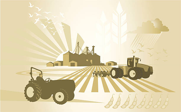 ilustrações, clipart, desenhos animados e ícones de agricultura: baixo na fazenda - soy field