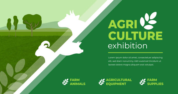 Agriculture exhibition design template Design concept for agriculture exhibition, fair. Identity for farm animals show, livestock, agro conference. Vector illustration with sign of cow, pig, ram. Template for flyer, poster, banner, ticket entrepreneur designs stock illustrations