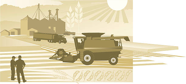 ilustrações, clipart, desenhos animados e ícones de agricultura: a colheita - soy field