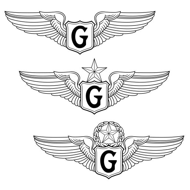 U.S. Air Force G Wing - Vector G Wing Badge Set vector art illustration