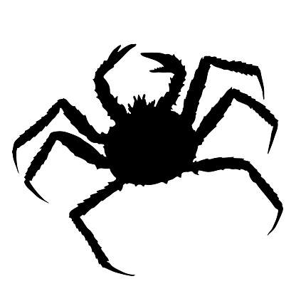 Alaskan king crab. Vector black silhouette drawn illustration.