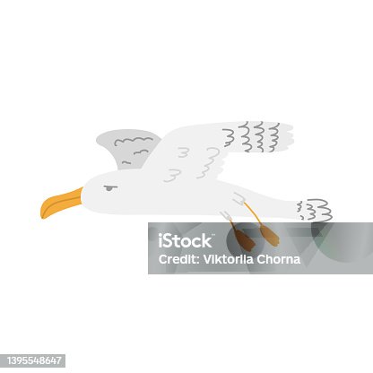 istock Albatross in cartoon hand drawn style. Vector Illustration of wild bird isolated on white background 1395548647