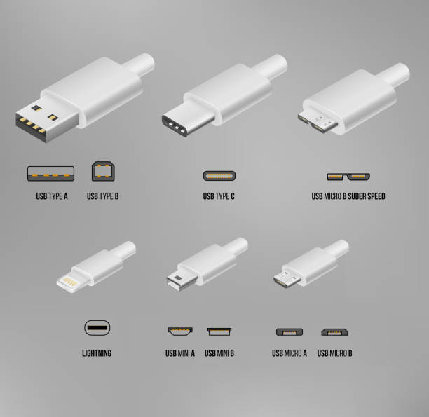 USB all type vector art illustration