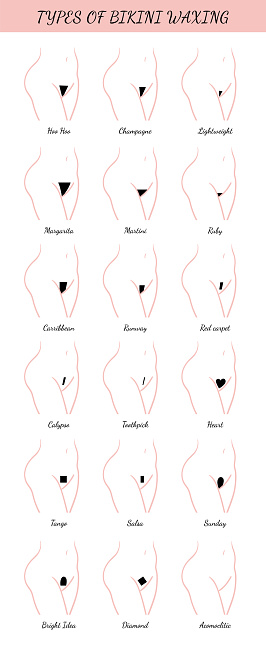 All Types Haircuts Of Bikini Zone Stock Illustration Download