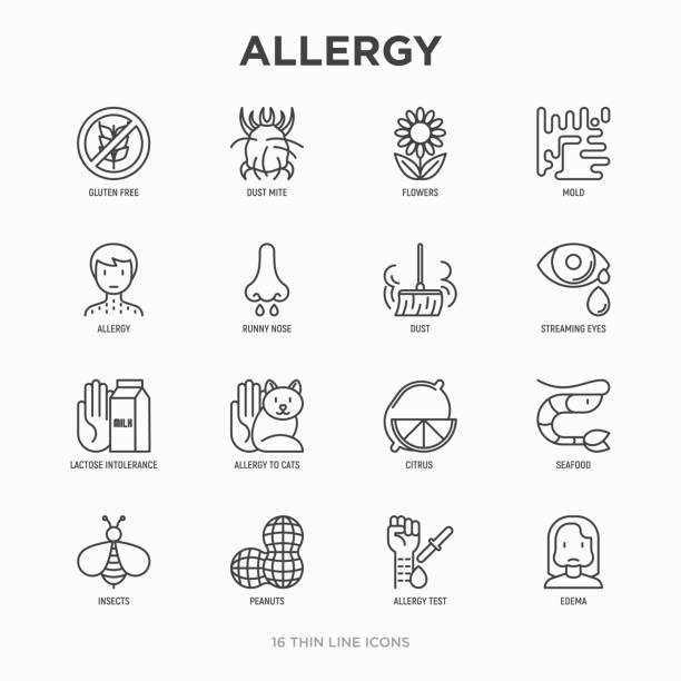 Allergy thin line icons set: runny nose, dust, streaming eyes, lactose intolerance, citrus, seafood, gluten free, dust mite, flower, mold, peanut, allergy test, edema. Modern vector illustration. Allergy thin line icons set: runny nose, dust, streaming eyes, lactose intolerance, citrus, seafood, gluten free, dust mite, flower, mold, peanut, allergy test, edema. Modern vector illustration. allergy test stock illustrations