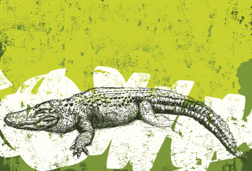 alligator grunge background