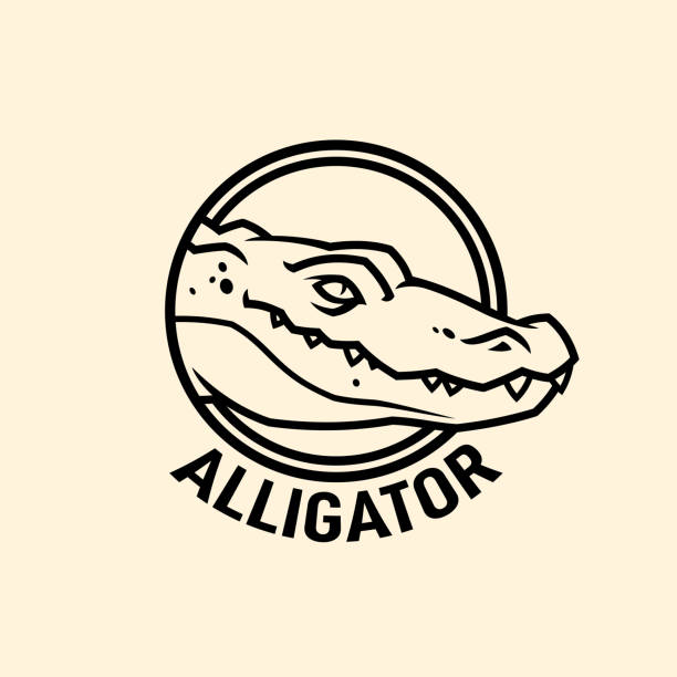 Alligator head in circle. Crocodile cut out icon Alligator head in circle. Crocodile character cut out icon. alligator stock illustrations