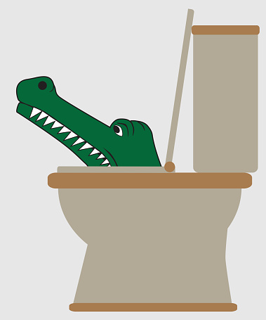 Alligator in the Toilet