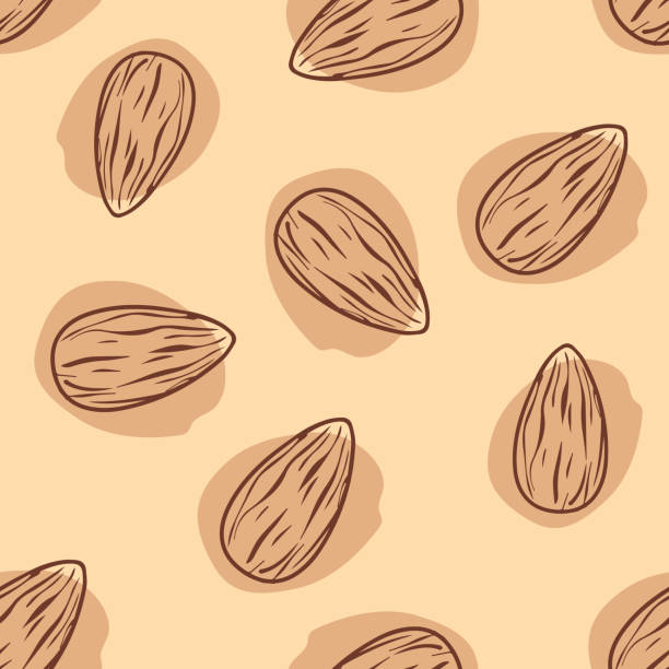 Almond hand drawn seamless pattern, vector Almond hand drawn seamless pattern, vector almond stock illustrations