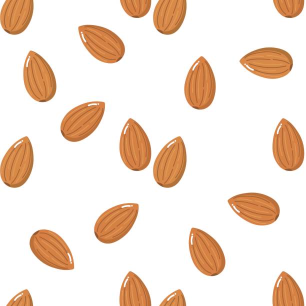 almond vector almond vector and pattern almond stock illustrations