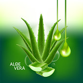 Aloe Vera collagen and Serum for skin Care Cosmetic vector illustration.