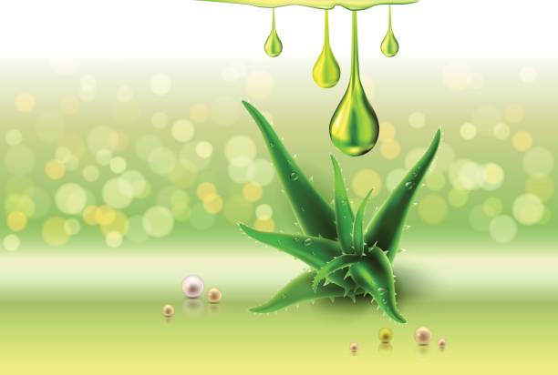 алоэ вера зеленые перлы, масляные капли, зеленые блестящие блестки - aloe vera stock illustrations