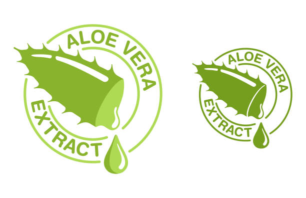 알로에 베라 - 액체 떨어지는 잎 조각 - aloe vera stock illustrations