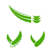 Aloe Vera Vector icon design illustration Template