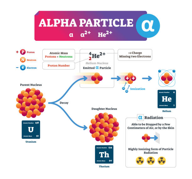 Alpha particle vector illustration. Labeled process explanation infographic Alpha particle vector illustration. Labeled atomic ion process explanation infographic. Structure scheme with electron, proton and neutron. Concept of parent nucleus, emitted particle and daughter. proton stock illustrations