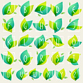 Vector ecology typeface for botanical labels, floral headlines, recycle posters, organic cards etc.