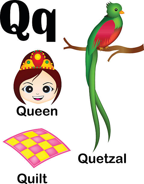 Alphabet letter Q pictures Cute and colorful alphabet letter Q with set of illustrations and words printable sheet. quetzal stock illustrations