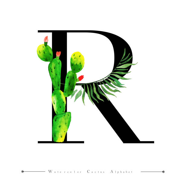 Alphabet Letter Z with Watercolor cactus and Leaves Background