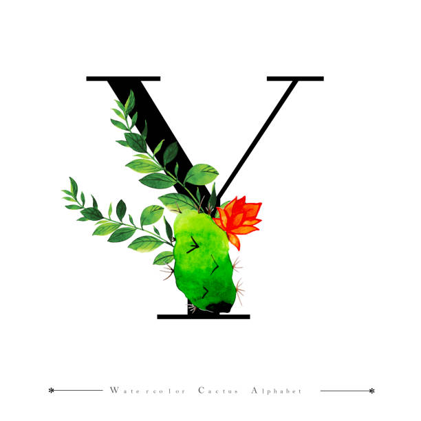 Alphabet Letter Z with Watercolor cactus and Leaves Background