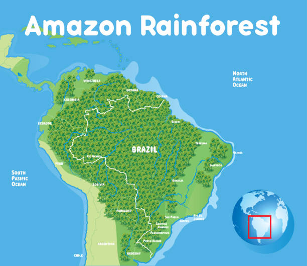 Amazon Rainforest Map Illustrations Clip Art Istock