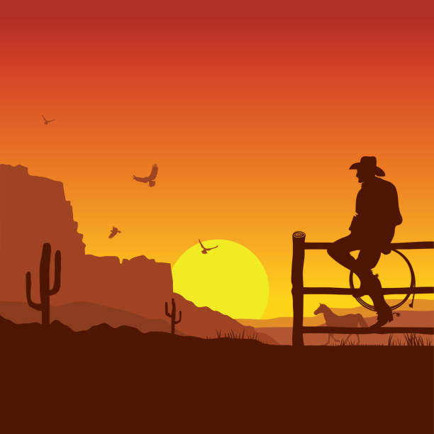 bildbanksillustrationer, clip art samt tecknat material och ikoner med amerikansk cowboy på vilda västern solnedgång landskap på kvällen - gulf coast states