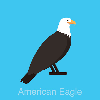 American eagle sitting, watching, vector