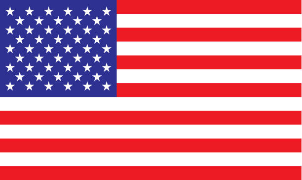 American Flag vector art illustration