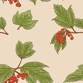 istock American Highbush Cranberry Autumn Seamless Pattern 1336213728