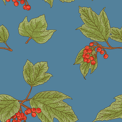 American Highbush Cranberry Autumn Seamless Pattern